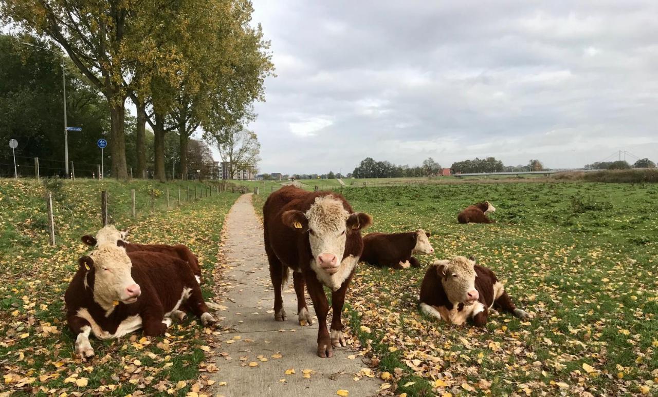B&B Tussen Vecht en Veer Hardenberg Buitenkant foto